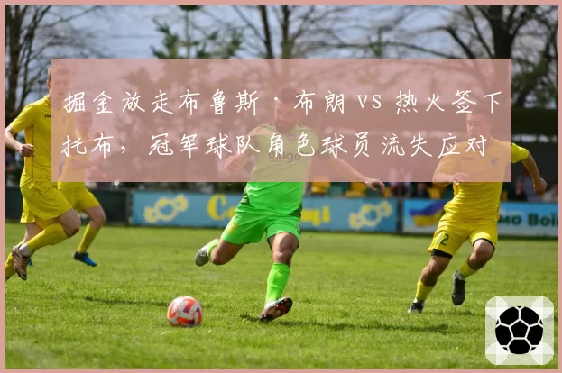 掘金放走布鲁斯·布朗 vs 热火签下托布,冠军球队角色球员流失应对策略